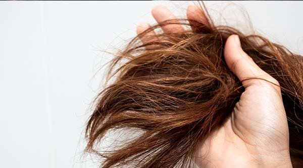 Complete Guide to Rid of Split Ends and Prevent Future Damage  All Things  Hair US